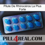Pilule De Rhinocéros La Plus Forte viagra1